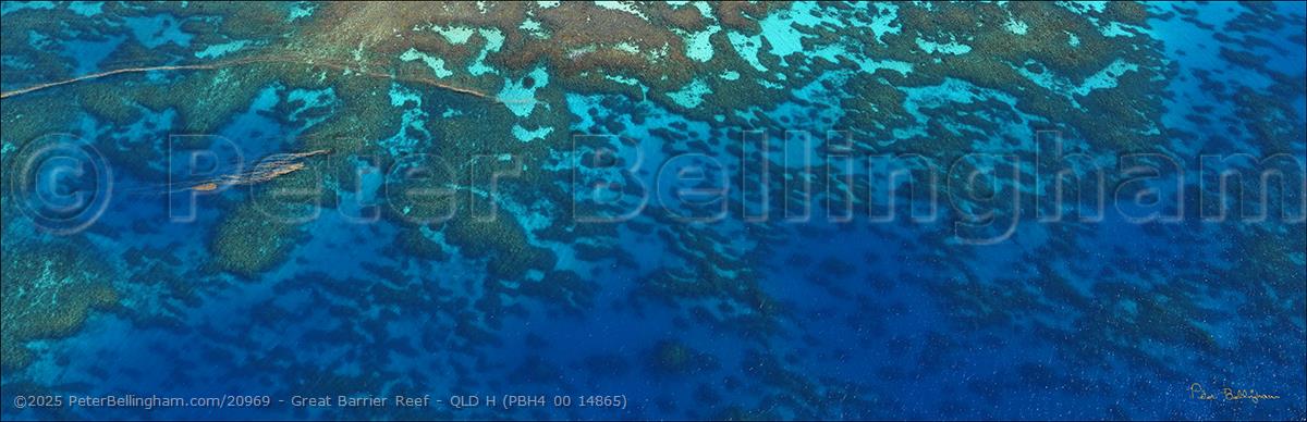 Peter Bellingham Photography Great Barrier Reef - QLD H (PBH4 00 14865)